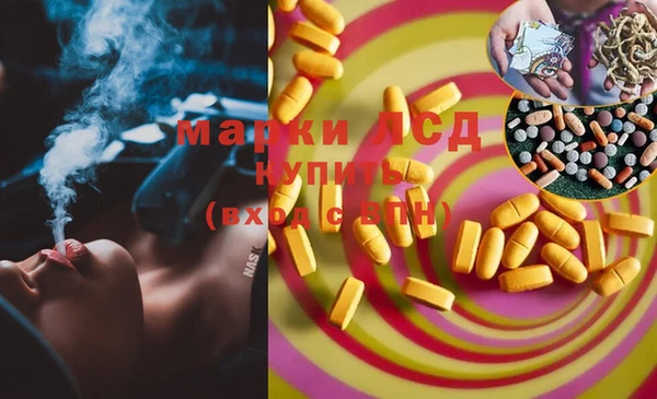 PSILOCYBIN Нефтекумск