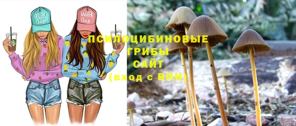 таблы Нея