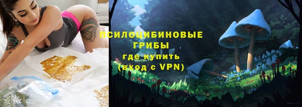 PSILOCYBIN Нефтекумск